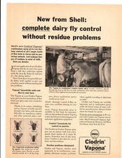 1963 Print Ad Shell Ciodrin Vapona Insectidice Complete Dairy Fly Control Cows