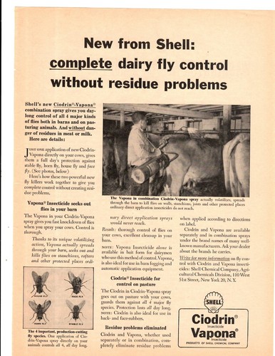 1963 print shell - print, ad
