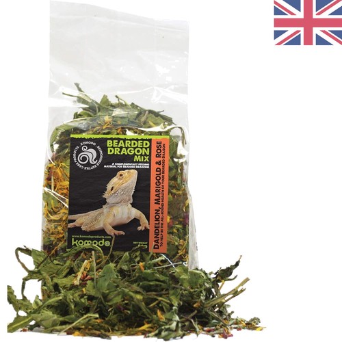 Natural bearded dragon - dragon, food