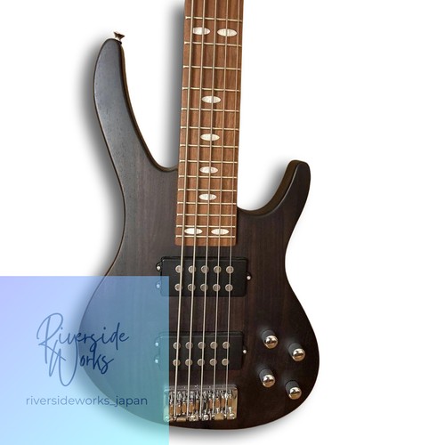 String bass guitar - 5-string,