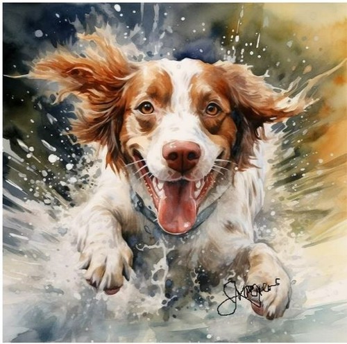 Watercolor brittany spaniel - watercolor,