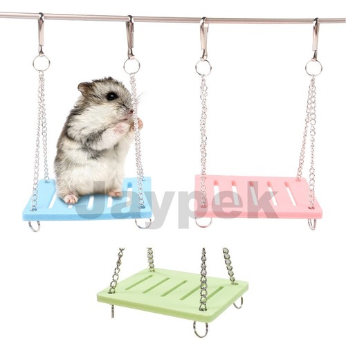 Pet hamster hanging - pet,