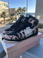 🚨 Sz 11 Nike SB Dunk High