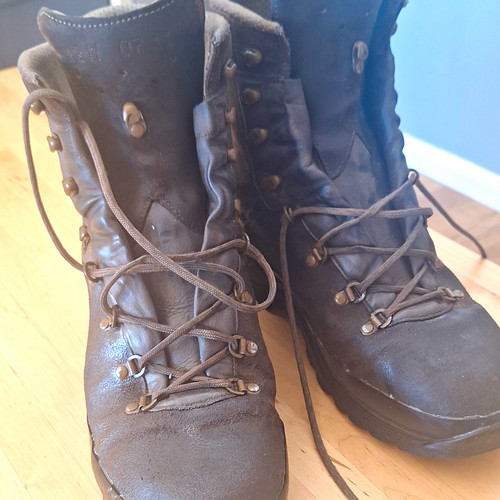 Lowa mountain boot gtx - lowa, rough