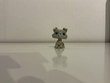 ⭐️littles Pet Shop/ Border