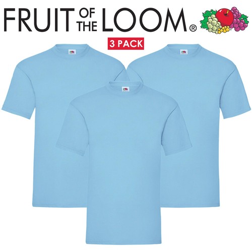 Fruit the loom - the, mens