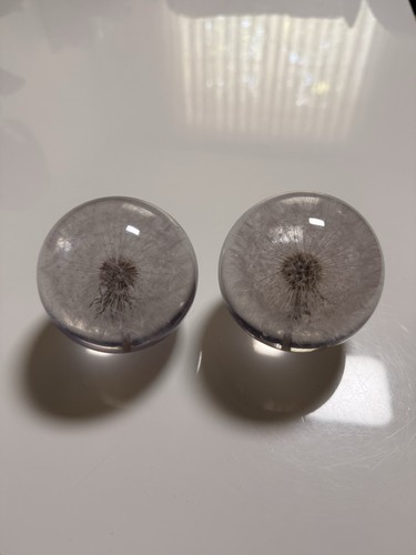 Paperweight - paperweight,