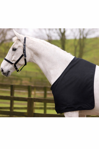 Horse bib anti - rub, vest