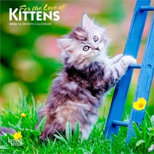 For the Love of Kittens 2026 Calendar | Mini 18cm x 18cm | 100% Plastic Free