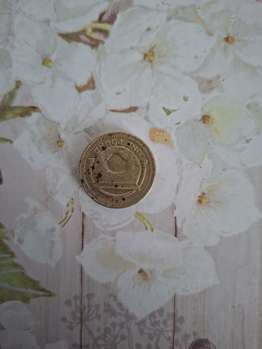 2006 old one - old, coin