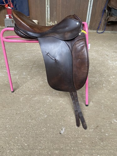 Brown jessica ideal - ideal, dressage
