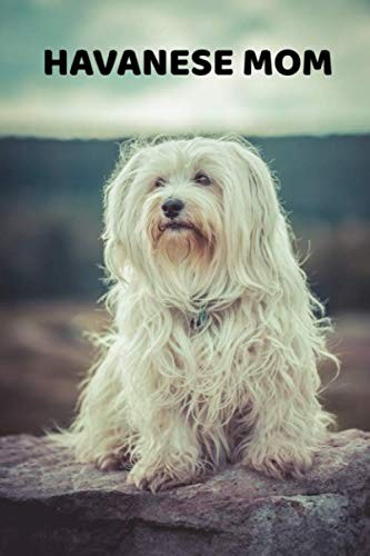 Havanese mom 6x9 - havanese, lined