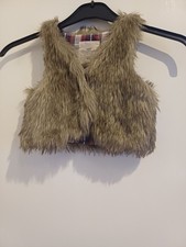 H&M Ombre Faux Fur Gilet