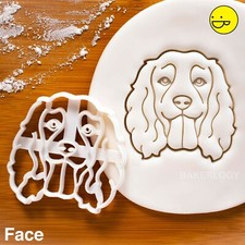 Working Cocker Spaniel Face