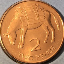 St. Helena 🇸🇭Ascension Islands Coin 2p Pence 2006 Donkey Mule BUNC from Set