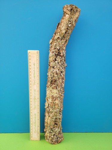 Cork bark branch 45cm snake - bark,