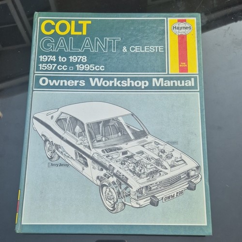 Colt galant celeste - colt,