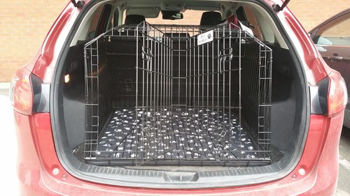 Pet world mazda - world, cx5