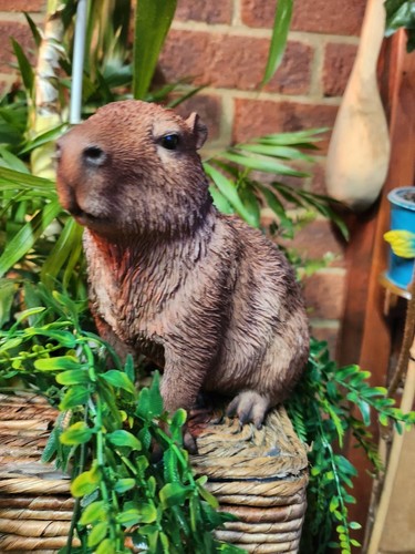 Capybara garden ornament - capybara, small