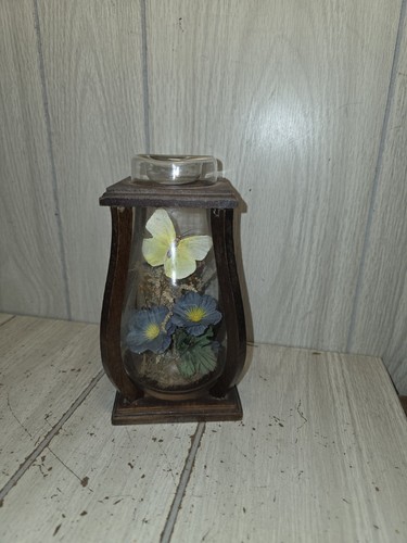 Vtg real mounted taxidermy - vtg,