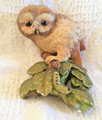 Bossons owlet owl - owlet,