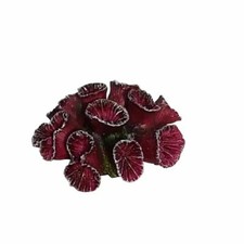 Artificial Purple Trumpet