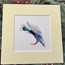 Mounted Bird Art Print 8 x 8