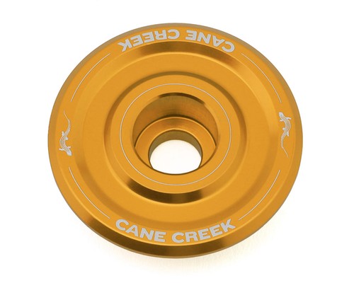 Cane creek hellbender - cane,