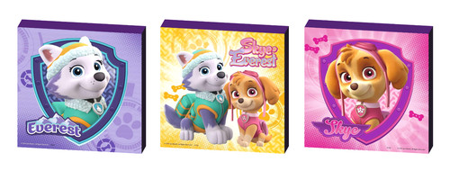 Paw patrol canvas - canvas, art