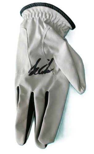 Stewart cink hand signed - cink, golf