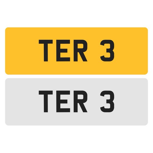 Ter dateless 3x1 private 4 - private,