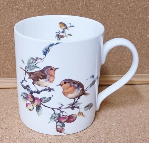 Robin birds scene - robin,