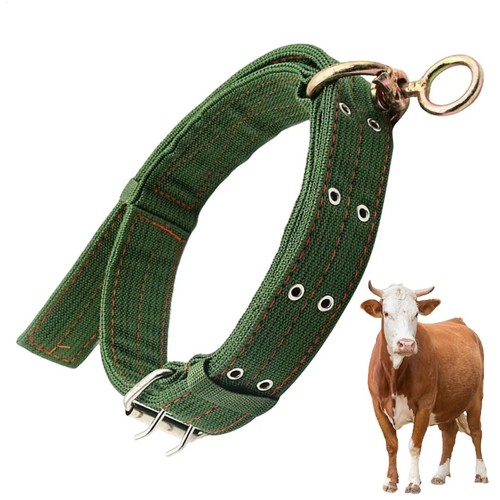 Goat collar horse sheep - collar,