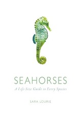 Seahorses: A Life-size Guide