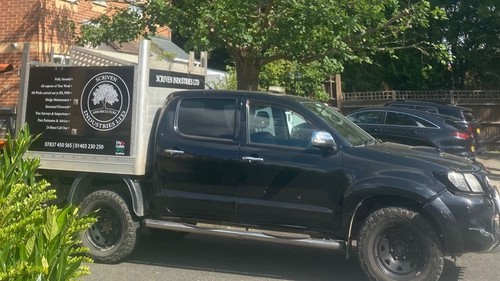 Toyota hilux invincible - invincible, 64