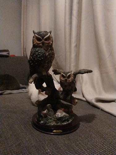 The juliana collection owl - juliana,
