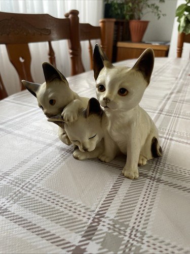 Vintage siamese cats kittens - ,