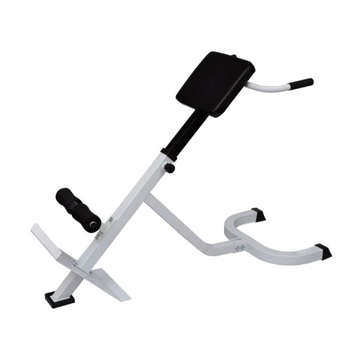 Back extension trainer bench - trainer,