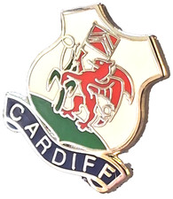 Cardiff City Small Pin Badge