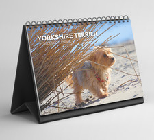 Yorkshire Terrier Desk Calendar 2026-2027: Standing Flip Desktop Calendar