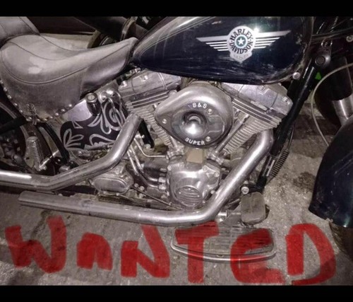 Harley davidson project wanted - davidson,