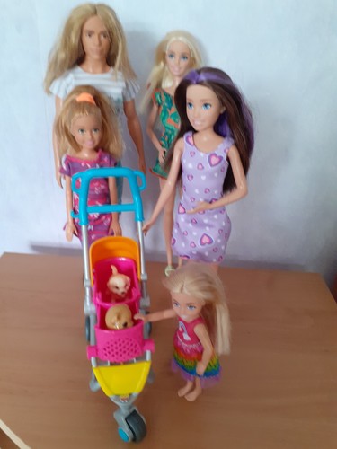 Barbie family doll bundle - doll,