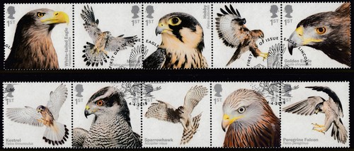 2019 birds prey set sg - 2019,