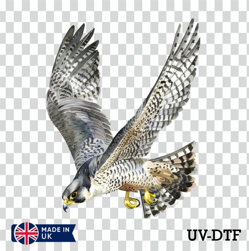 Peregrine falcon dtf - peregrine, uv