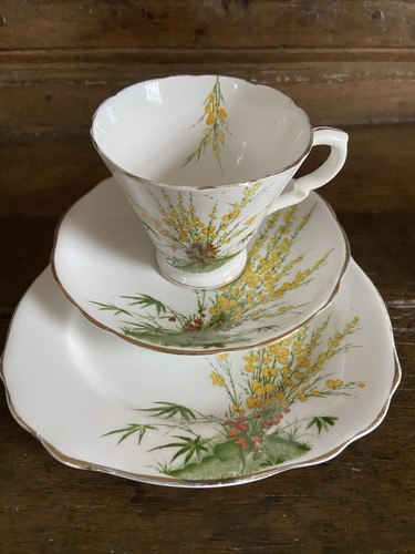 Vintage royal stafford trio - stafford,