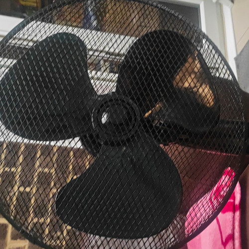 Elpine 16in pedestal stand - stand, fan