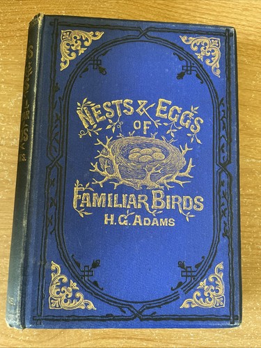 Nests eggs familiar birds - nests,