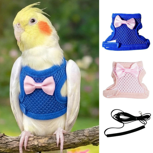 Bird harness with leash - 1x,
