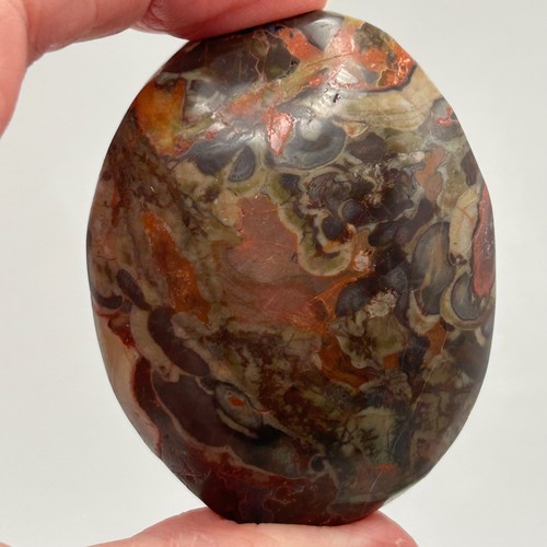 Money agate palm stone - money,