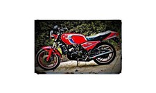 1982 yamaha rd350 lc Bike